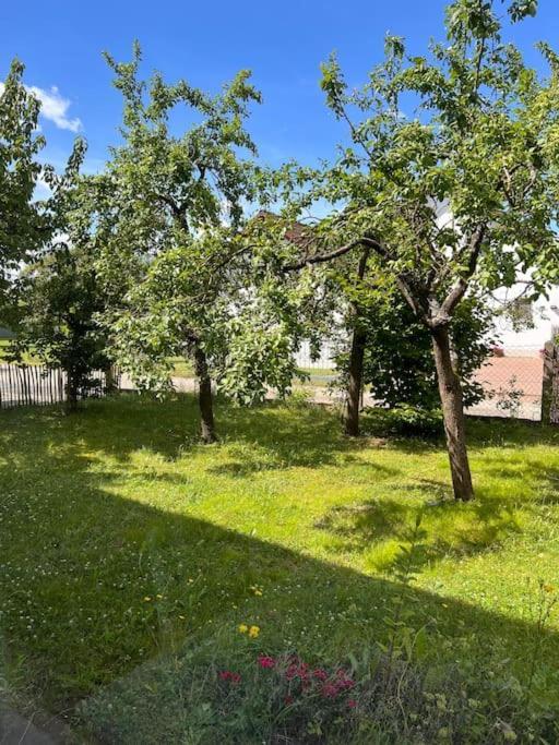 Wunderschoene Wohnung In Perfekter Lage 希尔波尔特施泰因 外观 照片