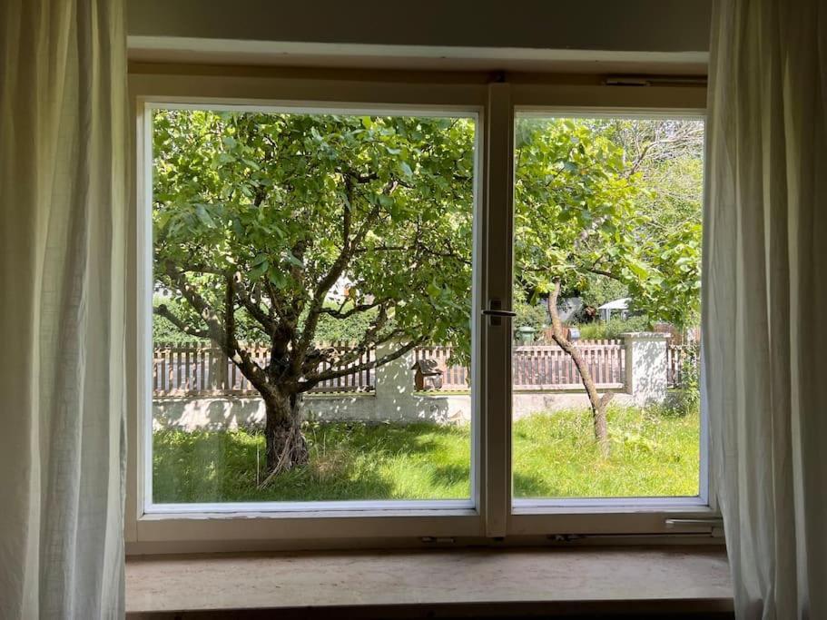 Wunderschoene Wohnung In Perfekter Lage 希尔波尔特施泰因 外观 照片
