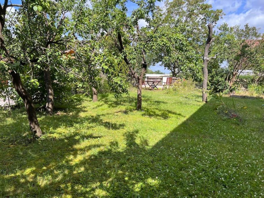 Wunderschoene Wohnung In Perfekter Lage 希尔波尔特施泰因 外观 照片