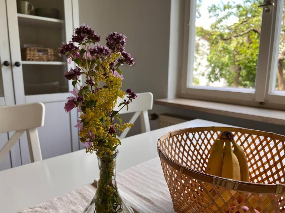 Wunderschoene Wohnung In Perfekter Lage 希尔波尔特施泰因 外观 照片